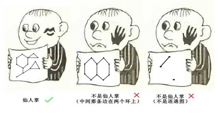 仙人掌图